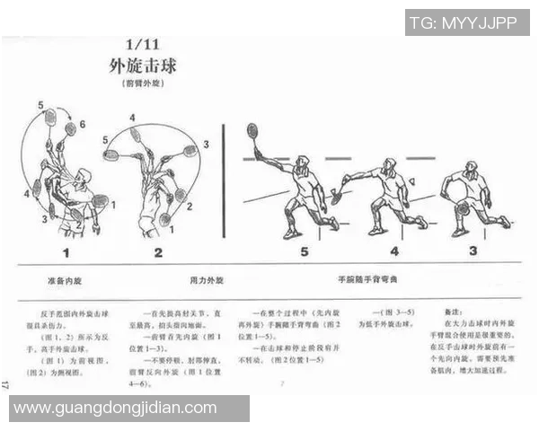上海羽毛球队进攻体系解析与战术运用探讨