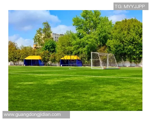 绿色足球衣的魅力与风格探索让我们一起感受绿茵场上的青春活力