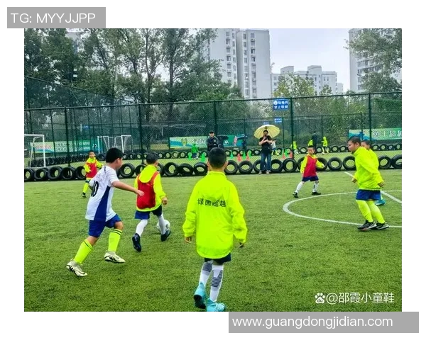 极度狂热足球的激情与梦想:追逐绿茵场上的荣耀与友情