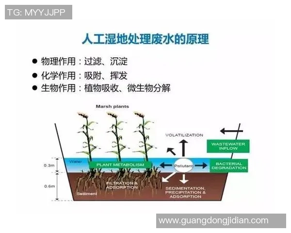 足球教学篇：提升青少年球技与团队合作能力的全面指南